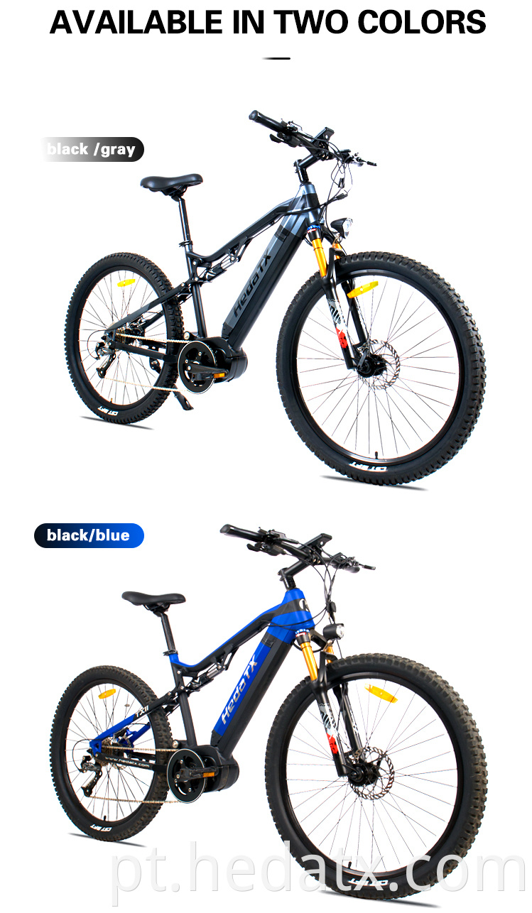 Mountain Electric Bike